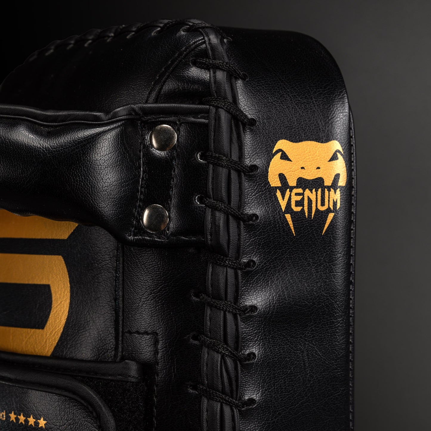Venum Giant 踢靶（一对）- 黑色/金色