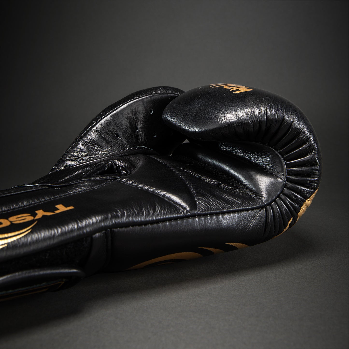 Venum Giant 2.0 Mike Tyson Pro 拳击手套 – 黑色/金色