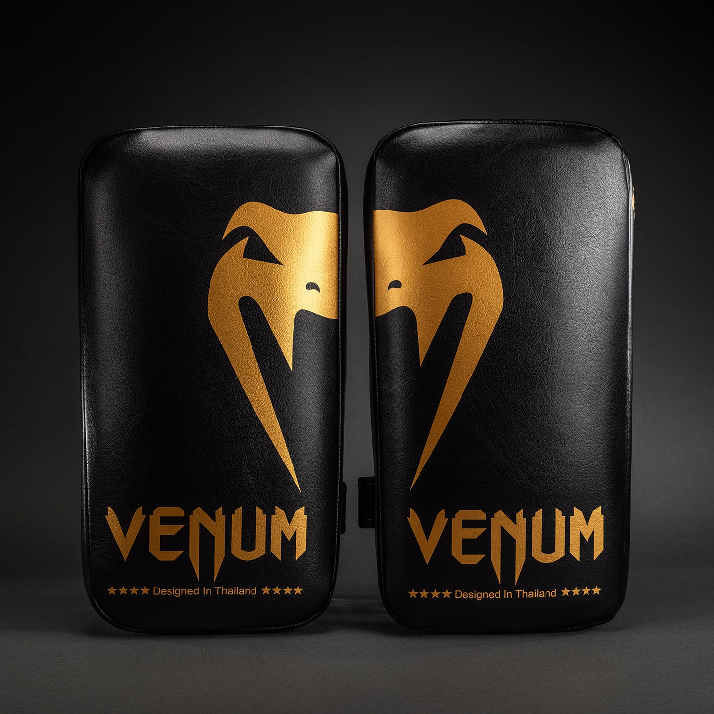 Venum Giant 踢靶（一对）- 黑色/金色