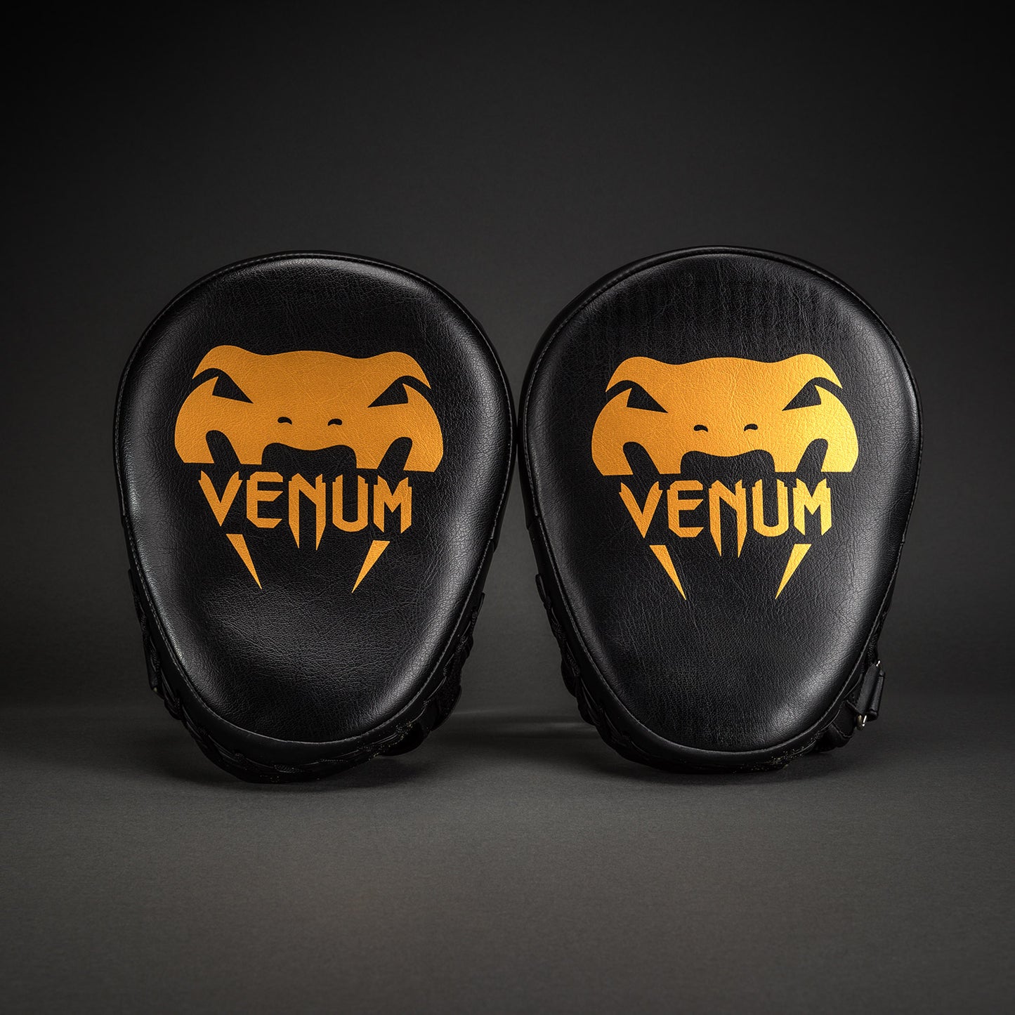 Venum Light 拳靶（一对）- 黑色/金色