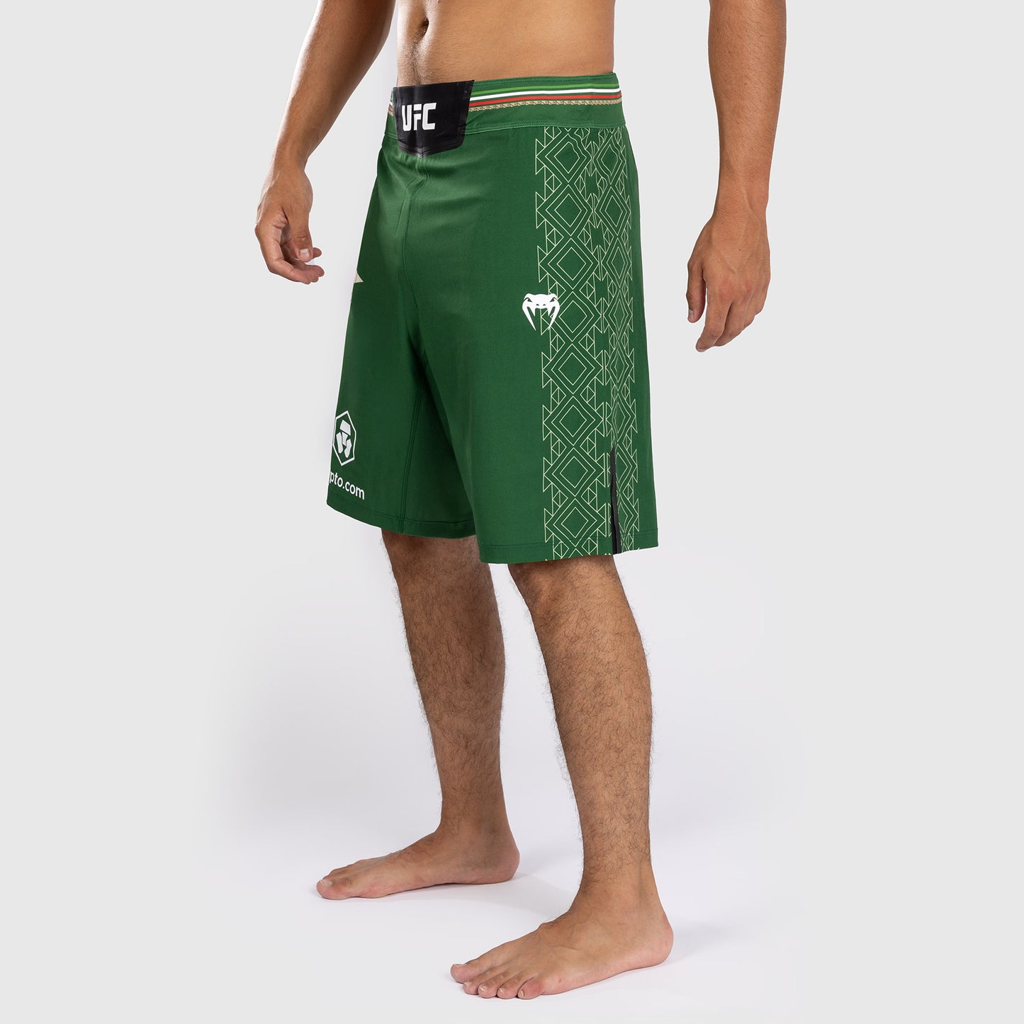 Noche UFC By Venum Authentic Fight Night 男士格斗短裤 – 绿色–长款