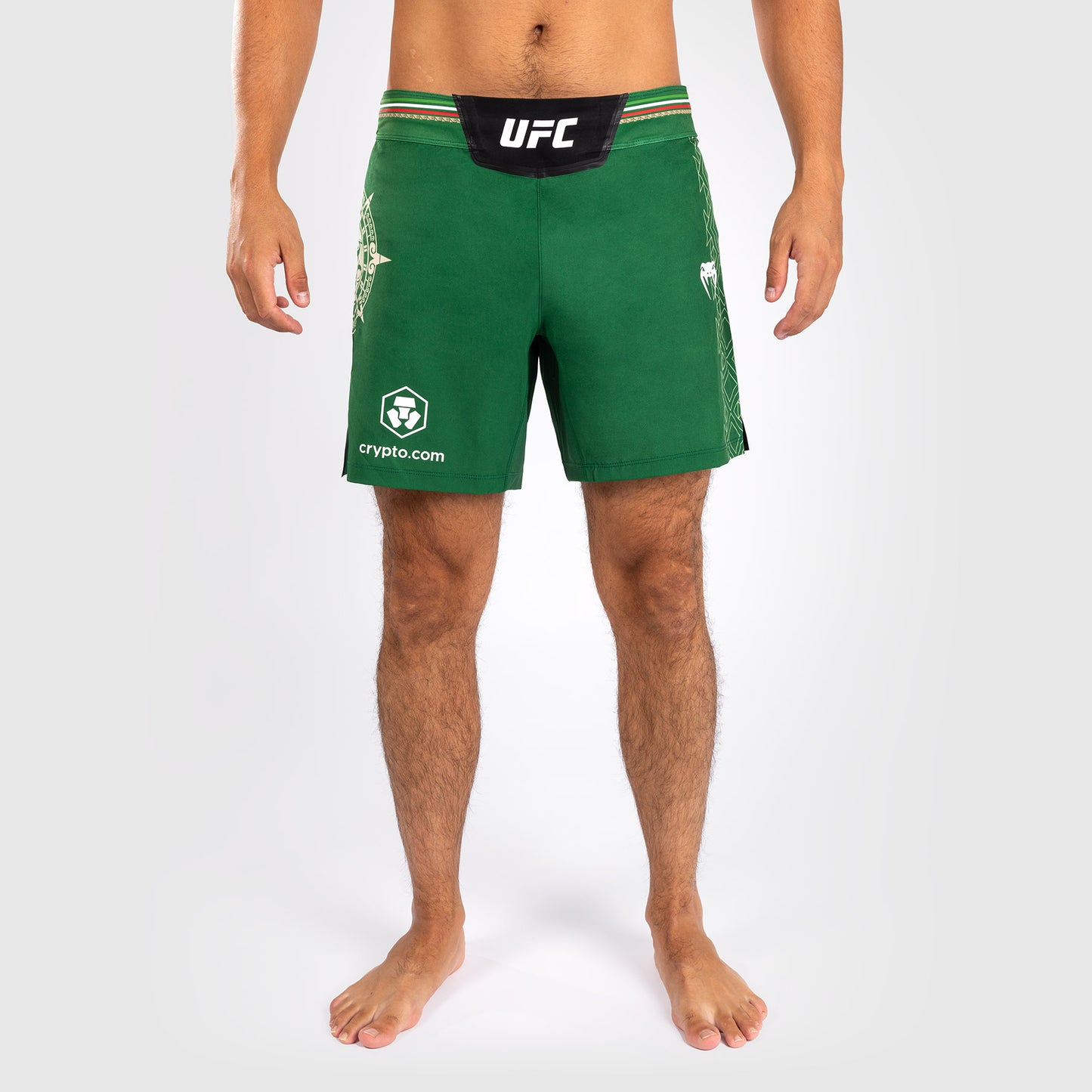Noche UFC by Venum Authentic Fight Night 男士格斗短裤 – 短款 – 绿色