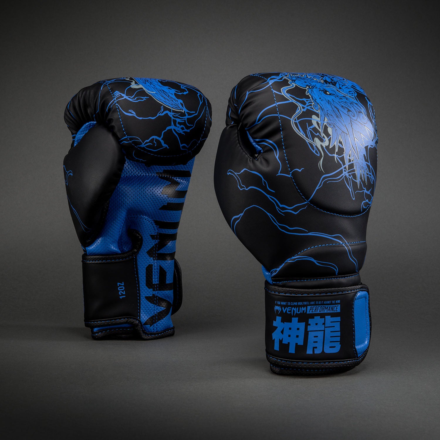 印南幽 Venum Thunder Dragon 拳击手套– 黑色/皇室蓝- Venum Asia
