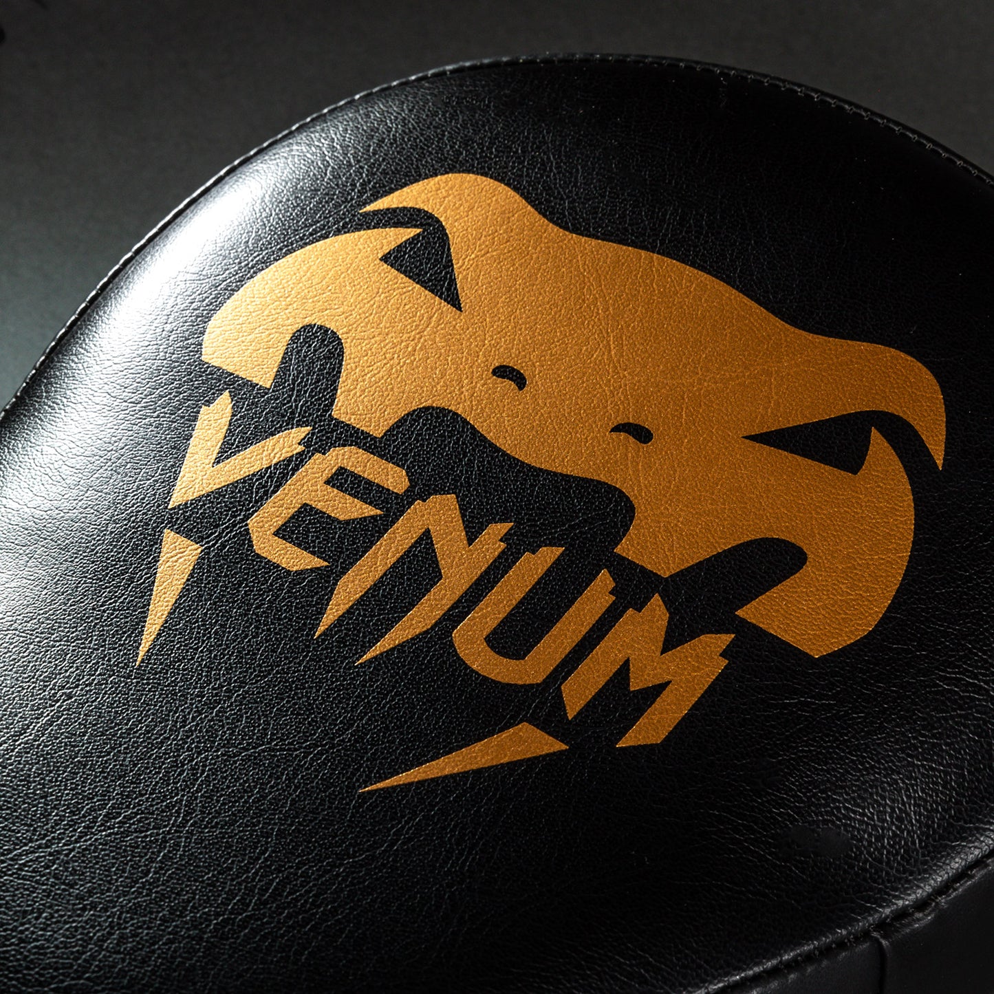 Venum Light 拳靶（一对）- 黑色/金色