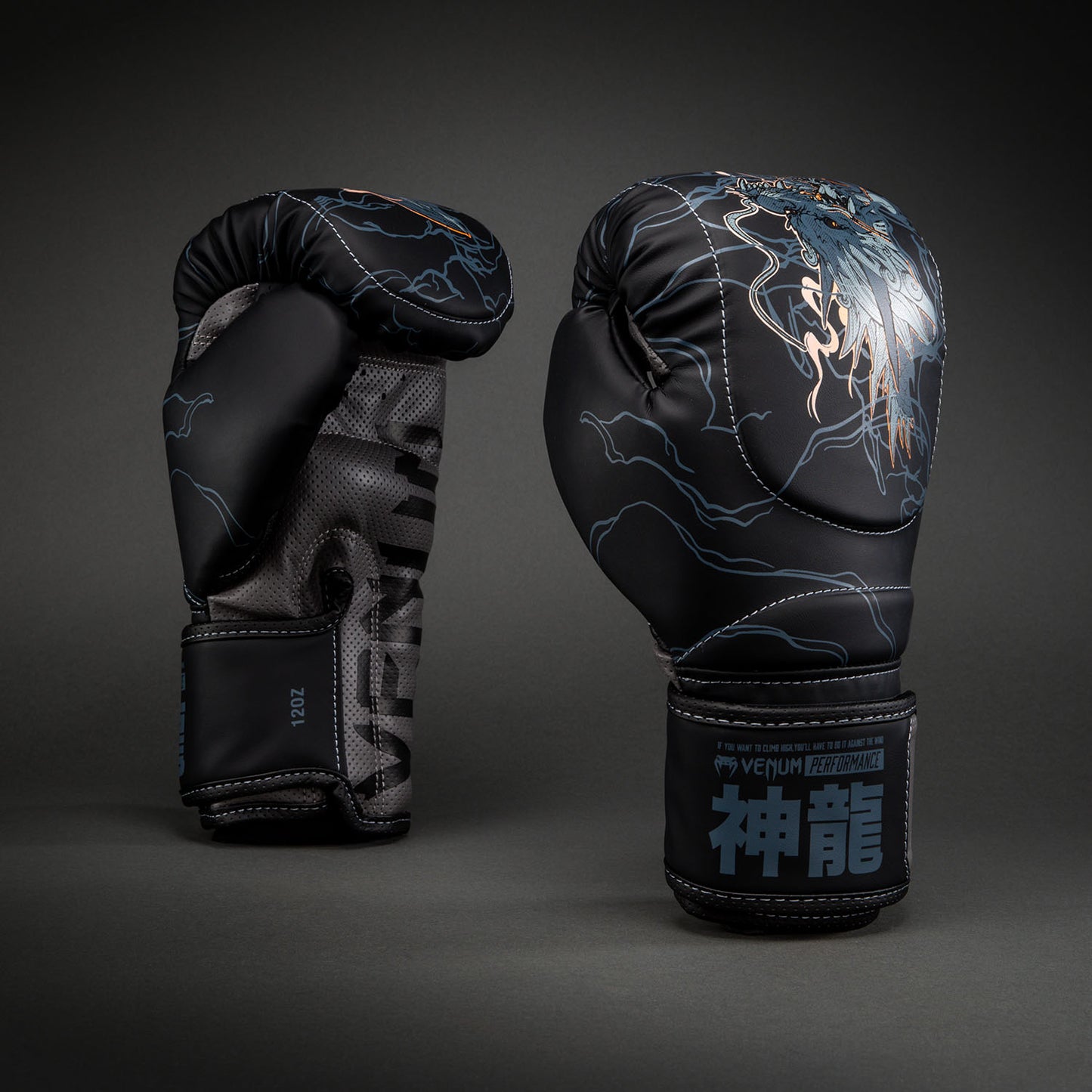Venum Thunder Dragon 拳击手套 – 黑色/灰色/铜色
