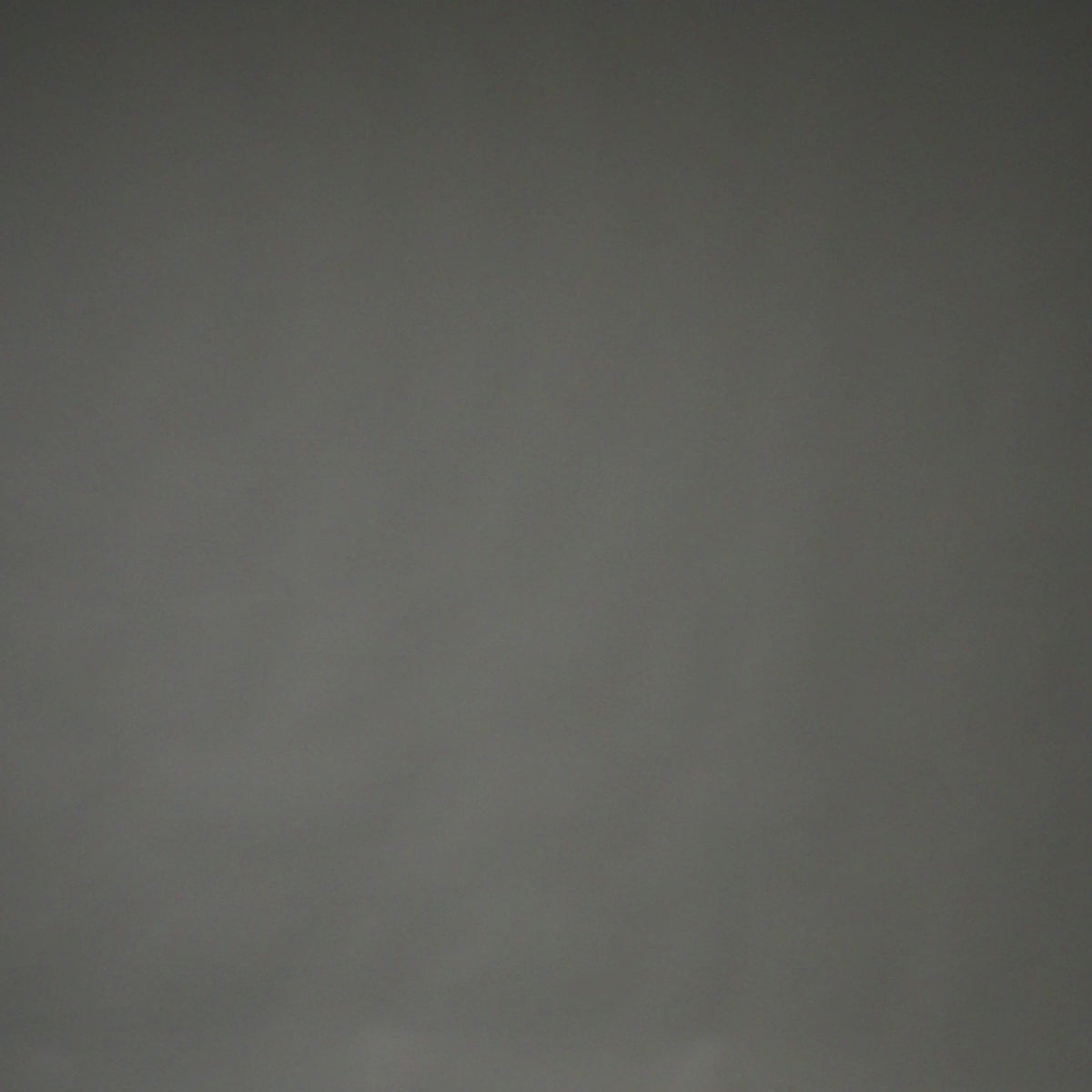 VENUM-06468-710